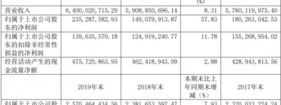 解百集团2019年净利上涨57.83％ 杭州大厦营收57.88亿