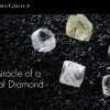 钻石珠宝消费回暖，De Beers 疫情以来首次上调钻石原石价格